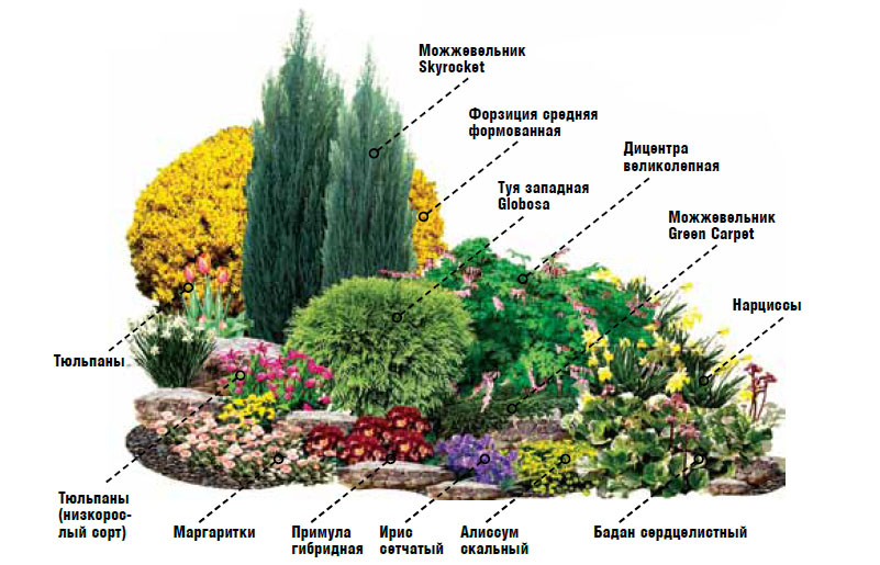 Устройство клумбы постоянного цветения
