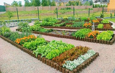 Декоративный огород- не только польза, но и украшение сада.