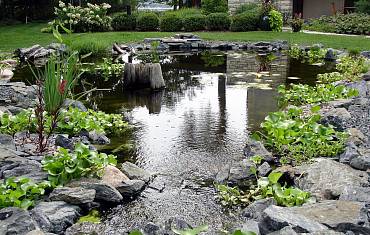 Сад в стиле "эко" 