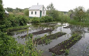 Как осушить участок от воды