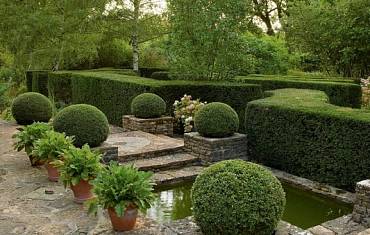 Тренды ландшафтного дизайна - 2020